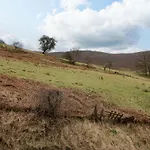Newlands Fell بيت للعطل *