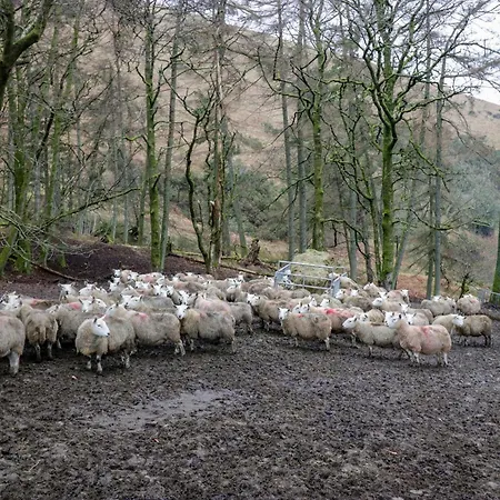 Newlands Fell Semesterbostad Keswick (Cumbria)