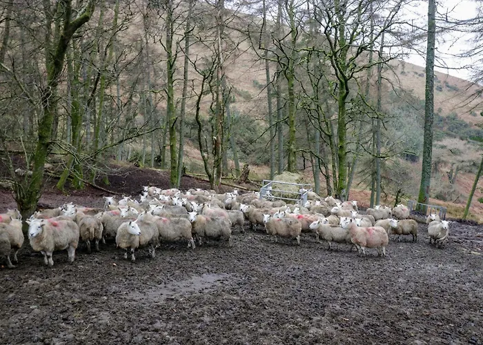 Newlands Fell Holiday home Keswick (Cumbria)